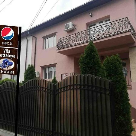 Casa Cattleya Hotel Targu Jiu Luaran gambar