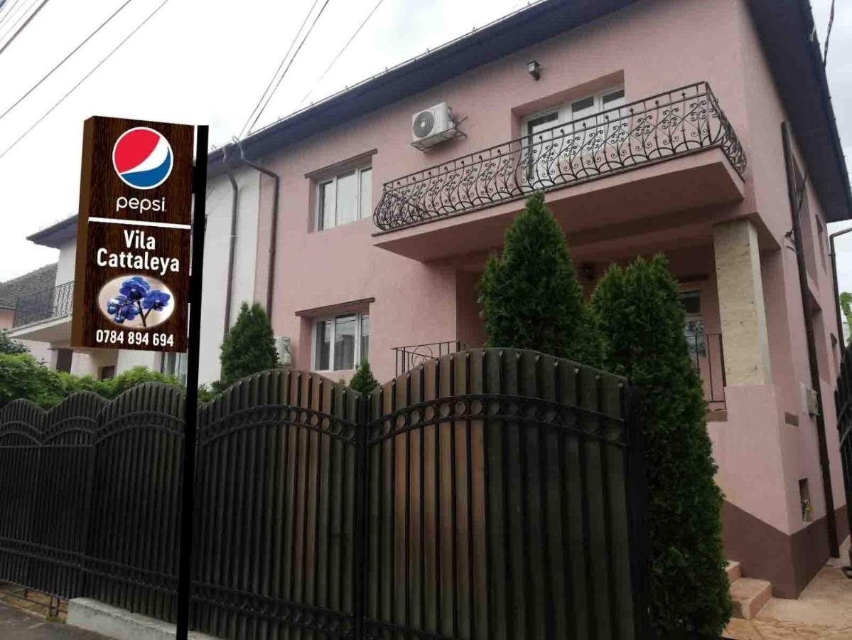 Casa Cattleya Hotel Targu Jiu Luaran gambar